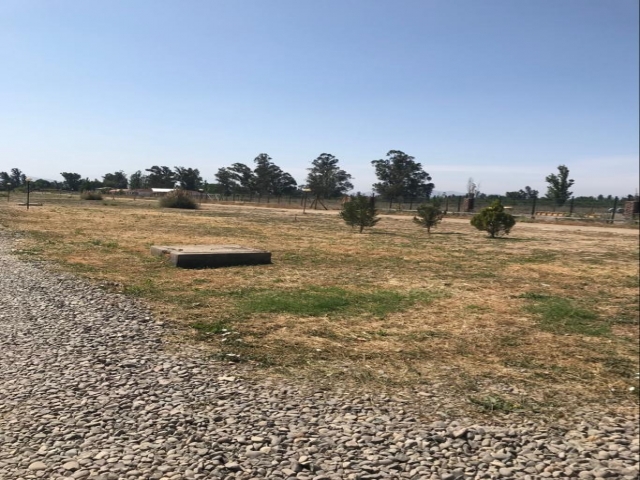 WhatsApp Image 2020-04-27 at 16.38.14.jpeg